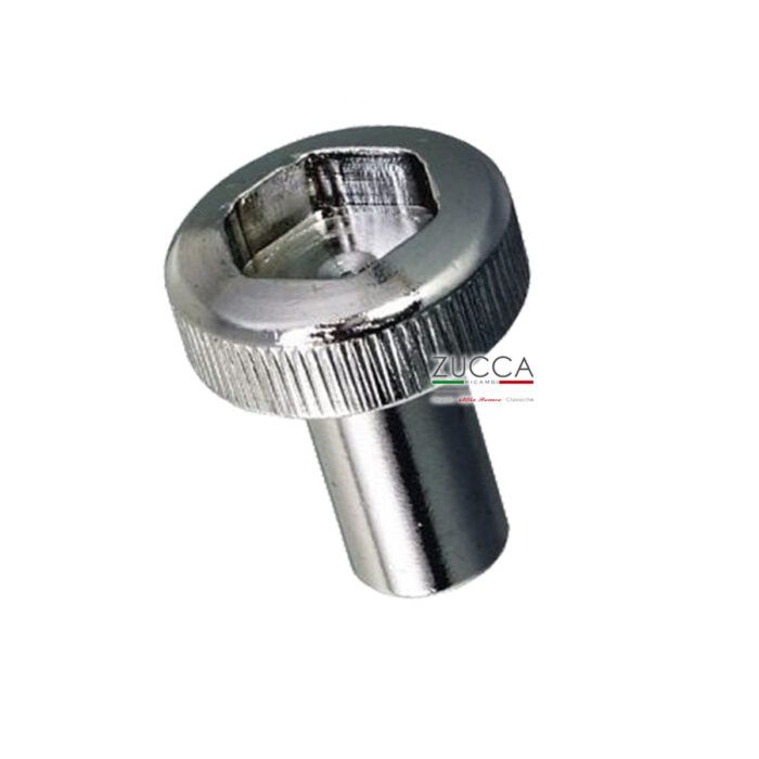 Pomello Fissaggio Coperchio Punterie (Brugola 14 mm) "INOX"