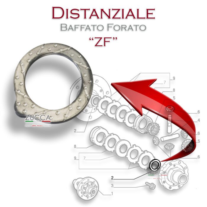 Anello Distanziatore - Lamelle Differenziali (Serie 115 - 116/ 162) - ZF -"Baffato Forato"