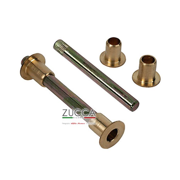 Kit Revisione Cerniere Sportello (GT Bertone)