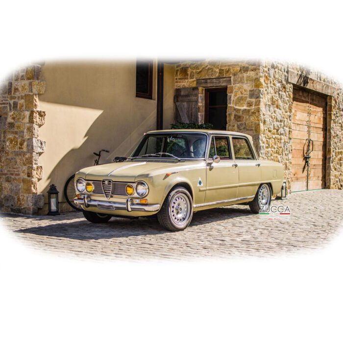 Set guarnizioni maniglia porta  (105/115 Giulia Super 1 Serie) - immagine 2