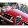Paraurti Ant. SX con rostro (Serie 750 101 Spider) - immagine 2