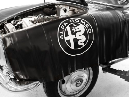 Telo Magnetico - Proteggi Parafango (113 x 64cm)