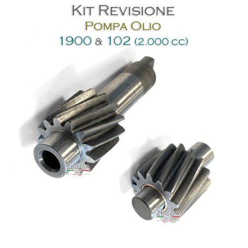 Kit Revisione - Pompa Olio (Serie: 1900 & 102 - 2.000 cc)