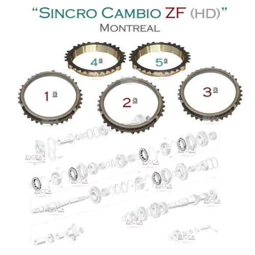 Kit Sincronizzatore Cambio ZF (105.64 - Montreal V8) "2 pz. Bronzo + 3 pz. Acciaio"