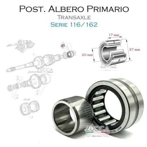 Cuscinetto Albero Primario Posteriore (116/162)