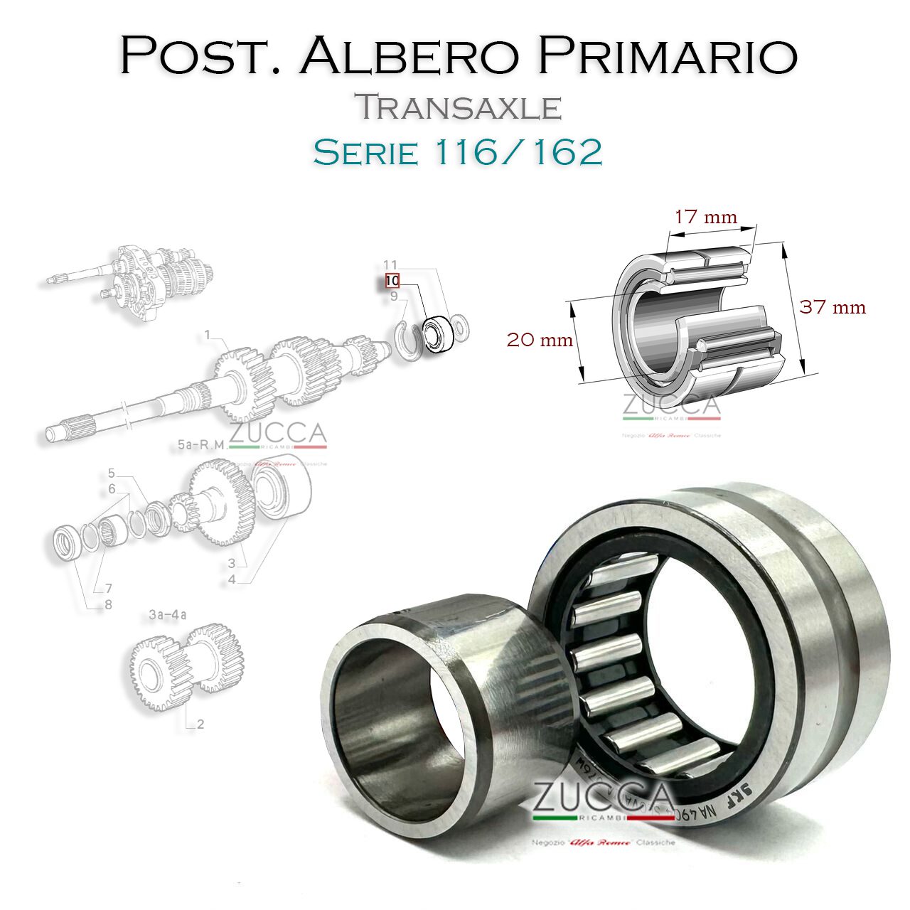 Cuscinetto Albero Primario Posteriore (116/162)