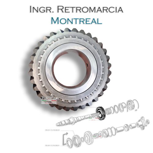 Ingranaggio Retro Marcia (MONTREAL - Cambio "ZF SG-18/3") - Rigenerato